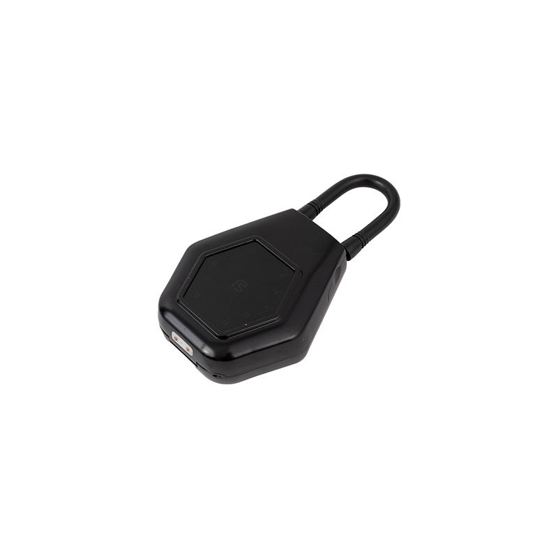 Electronic Locks