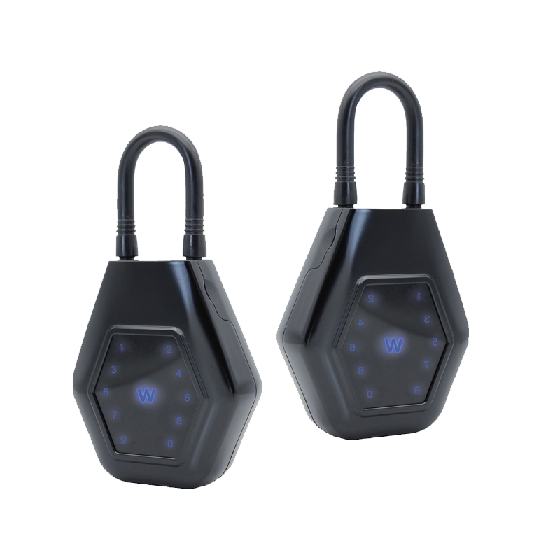 Electronic Locks