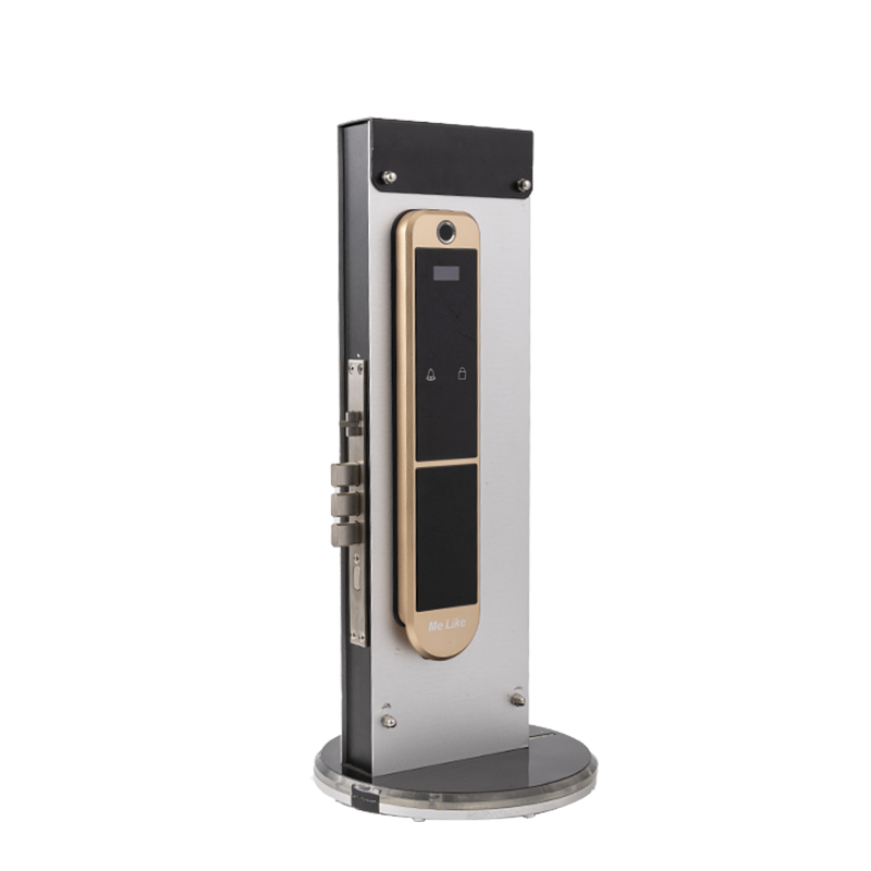 Electronic Locks