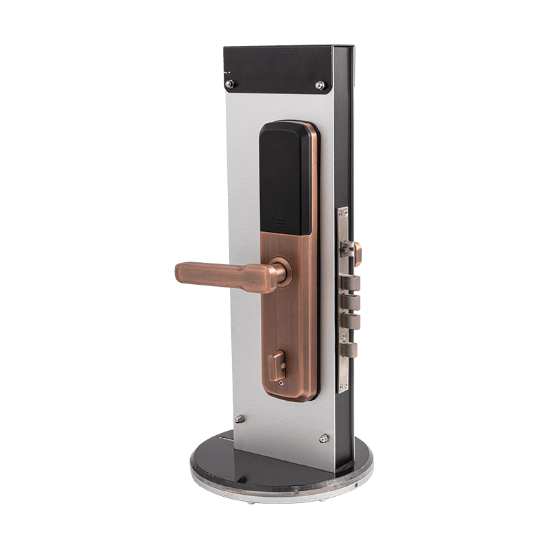 Electronic Locks