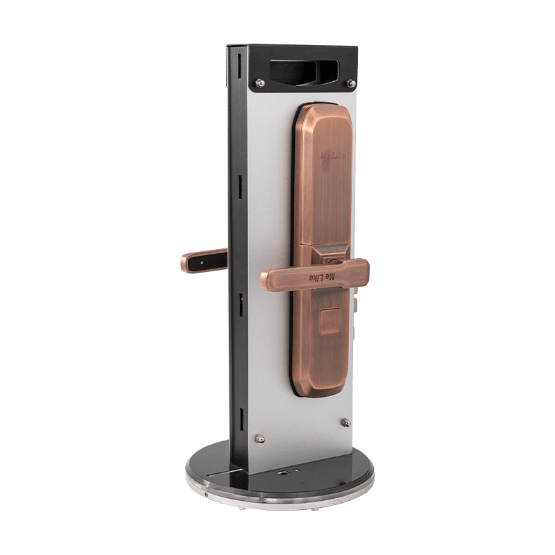 Electronic Locks
