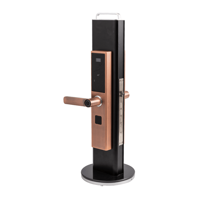 Electronic Locks