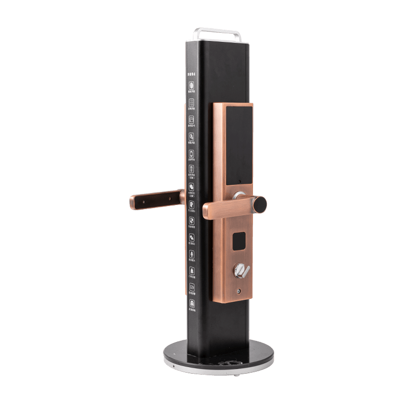 Electronic Locks